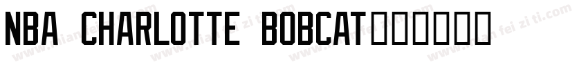 NBA Charlotte Bobcat字体转换